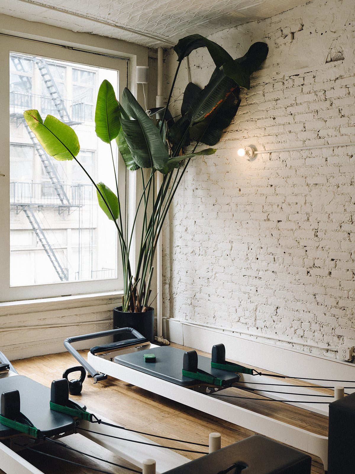 RLxGD Resistance Loop - FOREST